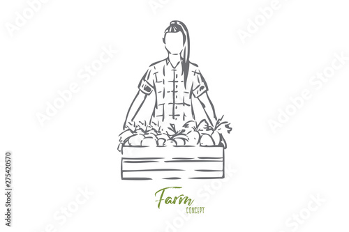 Box of harvest concept sketch. Isolated vector illustration