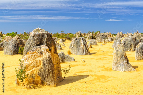 Limestone pillars in the Pinnacles Desert of the Nambung National Park - Cervantes, WA, Australia