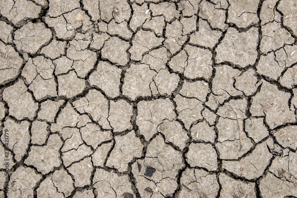 Dry earth background texture Dry earth background texture