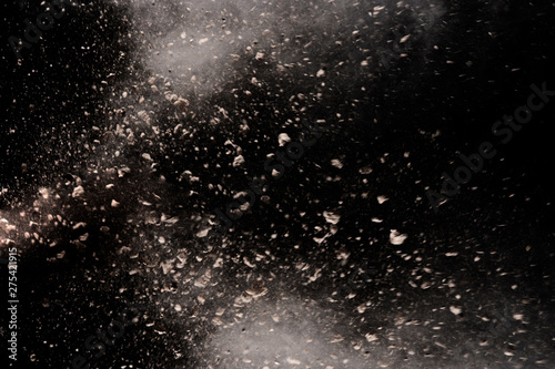Obraz na plátne abstract powder splatted background, Freeze motion of earth dust exploding textu