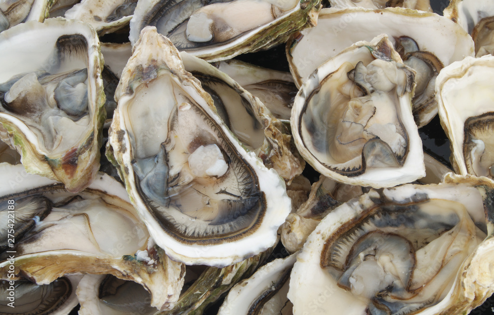 Many fresh oysters Many fresh oysters