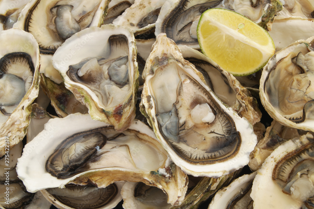 Fresh opened oysters with lime Fresh opened oysters with lime