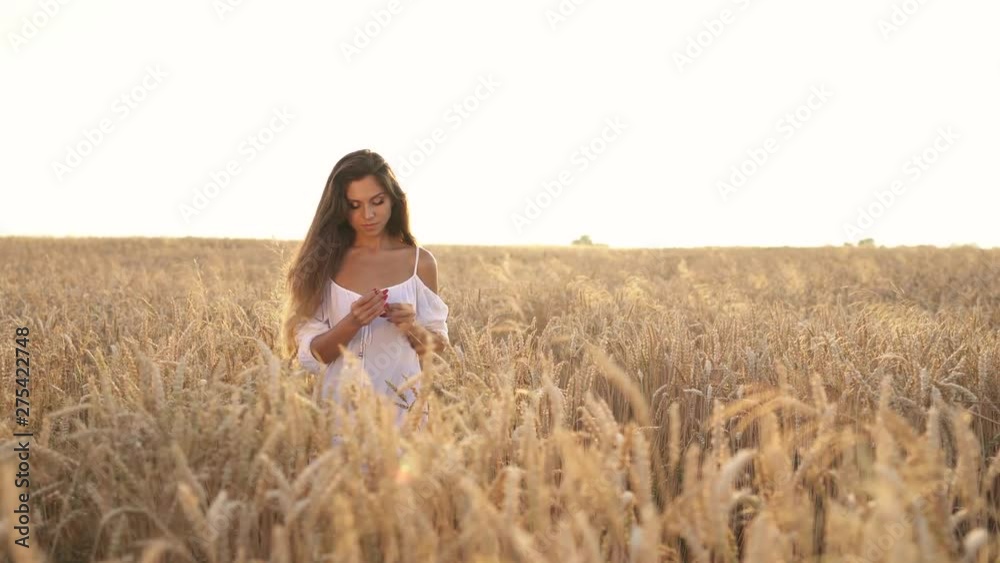 Young romantic woman is dreamily playing with wheat ear in the golden field Young romantic woman is dreamily playing with wheat ear in the golden field