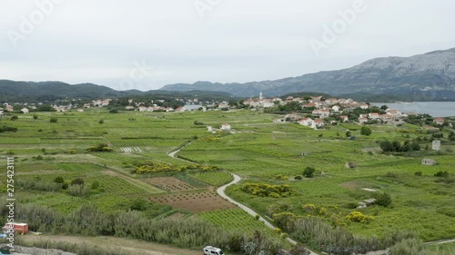 Vineyards on Korcula island, aerial view with Lumbarda village in the distance 4k photo
