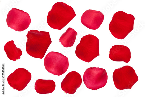 Rote Rosenblätter Freisteller photo