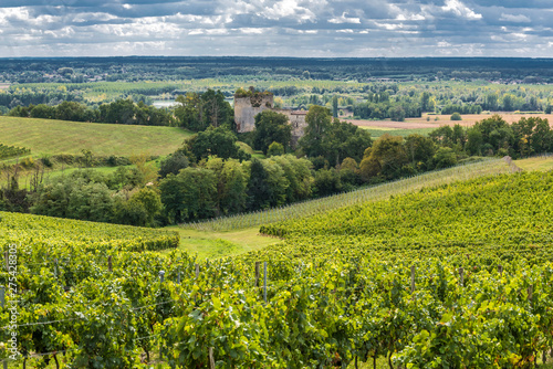 France, Gironde, Entre-deux-Mers, vallee de la Garonne with the feudal castle of Langoiran in the middle of the vineyards