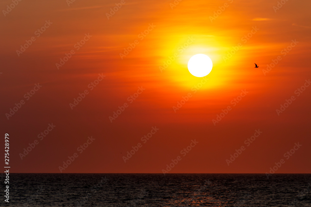 Minimalism red vivid abstract sunset or sunrise with bird, seagull flying over the calm water of the North Sea