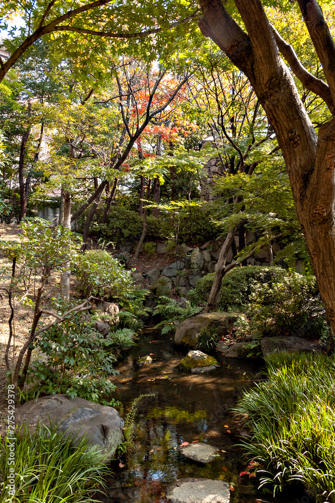 Fototapeta premium Autumn color at a Japanese garden in Osaka, Japan