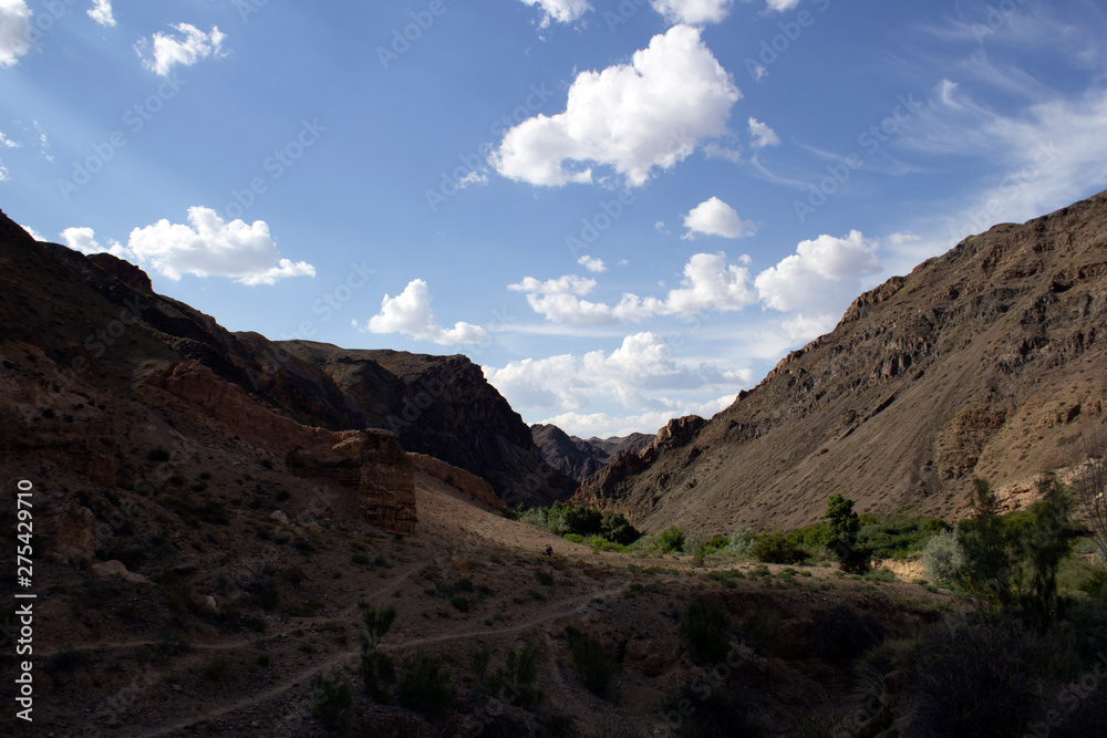 Stunning beauty, the majestic Charyn canyon Stunning beauty, the majestic Charyn canyon