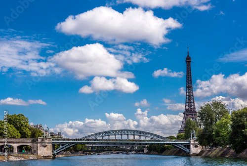 France, 15th and 16th arrondissements of Paris, Eiffel Tower, Ile aux Cygnes and railway pont Rouelle over the Seine river photo