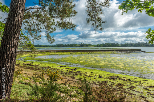 France, Brittany, Finistere, Pont-l'Abbe river
