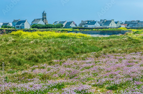 France, Brittany, Ile de Sein, heathland and village photo