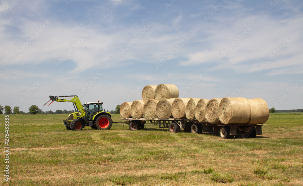 Obraz premium tractor pulling long trailer with bales of hay