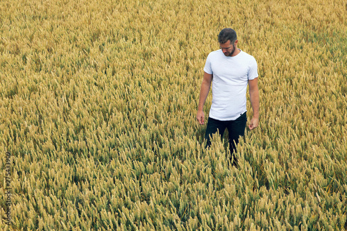 Young man in a wheat field