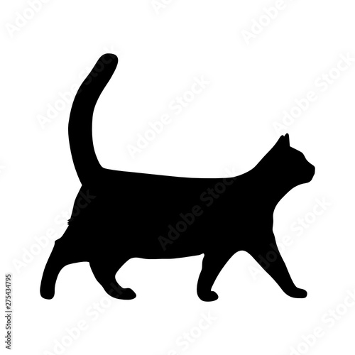 Vector flat style silhouette illustration of a realistic black cat walking - isolated on white background. Full editable and scalable high quality eps file available.