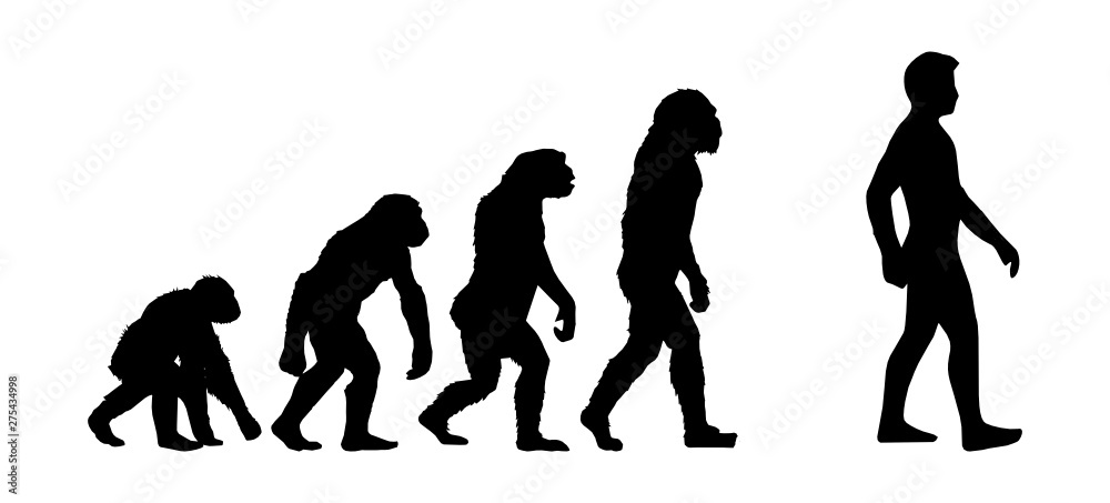 Vector illustration of evolution progress with 5 different human figures isolated on white background. High quality illustration. Vector illustration of evolution progress with 5 different human figures isolated on white background. High quality illustration.