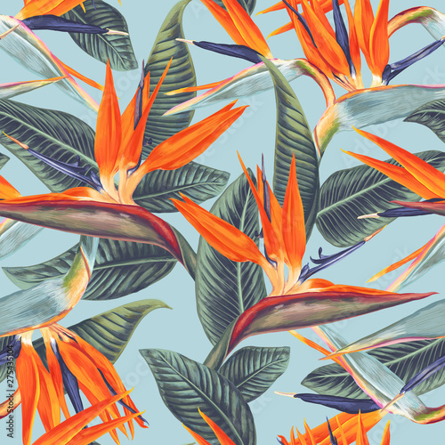 Seamless pattern with tropical flowers and leaves of Strelitzia Reginae. Realistic style, hand drawn, vector, bright colours. Background for prints, fabric, wallpapers, wrapping paper.