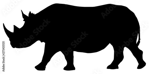 High detailed vector silhouette of a rhino isolated on white background. Full editable eps file available.