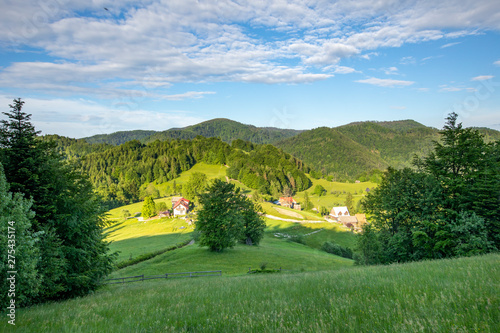 Fototapeta Naklejka Na Ścianę i Meble -  Beskid Sądecki - Góry Karpaty