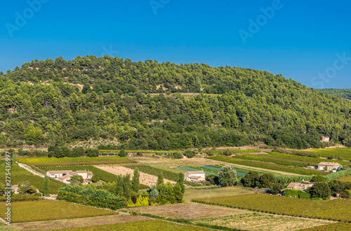 France, Luberon, Vaucluse, countryside around Menerbes (Most Beautiful Village in France)