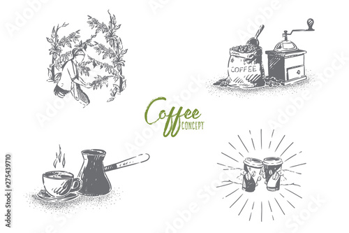 Coffee making process stages, woman collecting beans, grinding, boiling, hands holding mugs, cafe banner