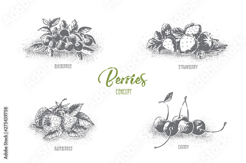 Tasty food, juicy ripe dessert, fresh blueberries, strawberry, raspberries and cherry, healthy nutrition banner