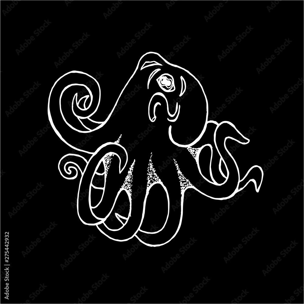 Black white illustration of an octopus. Chalk on a blackboard. Black white illustration of an octopus. Chalk on a blackboard.