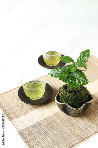 コーヒーの苔玉と冷たい緑茶