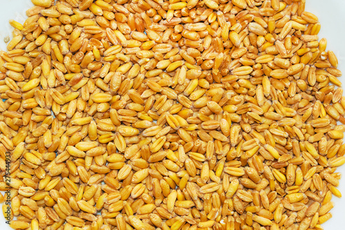 close up of pile of wheat seeds isolated