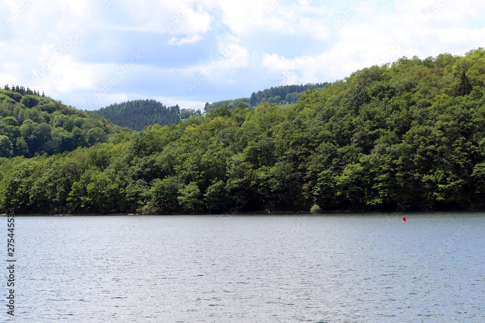 Un lac dans les bois