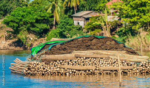 Asia, Cambogia, Battambang, driftwoof changing on the Sangkae river photo