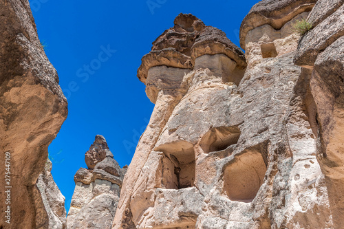 Turkey, Goreme National park and the rock sites of Cappadocia, troglodyte villages and hoodoos topped with their basalt dome in the Pasabag valley (UNESCO World Heritage) photo