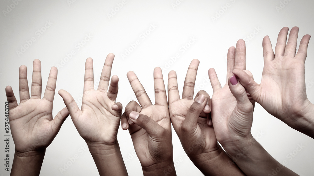 many raised children's expressive hands in a row many raised children's expressive hands in a row