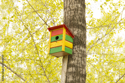A bright colorful birdhouse attached to a tree on which green leaves. © Evgeniya