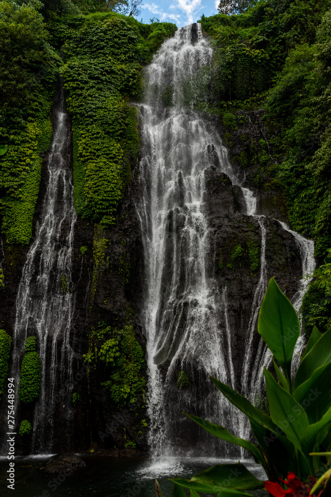 Fototapeta premium Beautiful waterfall in Bali, Indonesia.
