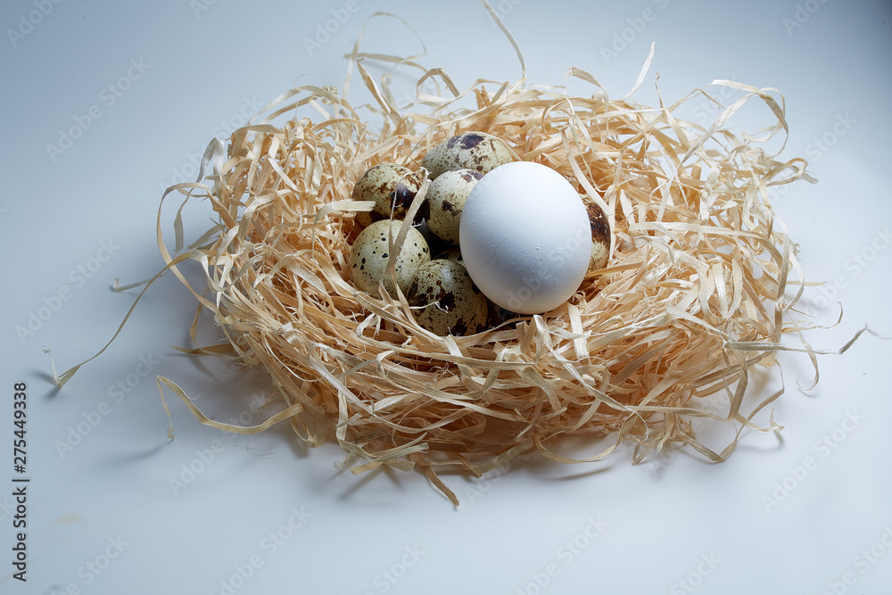 chicken egg and quail eggs in a nest of hay chicken egg and quail eggs in a nest of hay