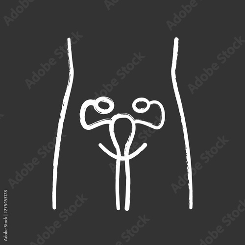 Healthy women reproductive system chalk icon. Human organ in good health. Fertility. Internal body part in good shape. Wholesome women health. Isolated vector chalkboard illustration