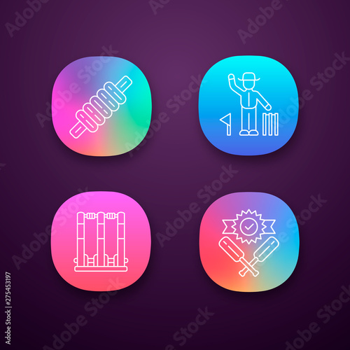 Cricket championship app icons set. Sport competition. Bail, stumps, win, umpire. Sporting gear, judge. Club tournament. UI/UX user interface. Web or mobile applications. Vector isolated illustrations
