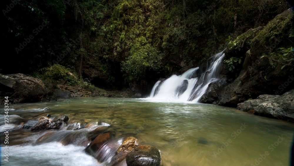 waterfall in forest waterfall in forest