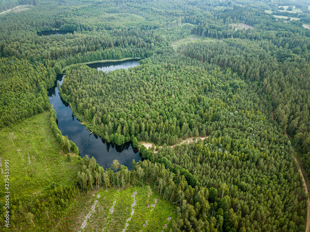 country lake in green forest. drone aerial image