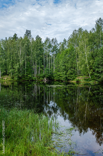 calm summer day evening by the forest lake in forest