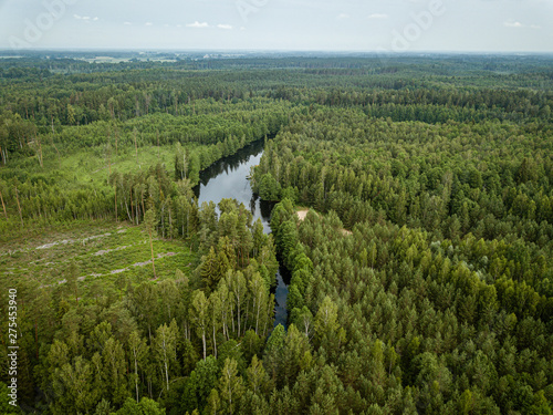 country lake in green forest. drone aerial image