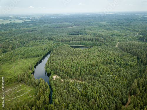 country lake in green forest. drone aerial image