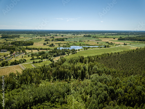 endless green forest from drone aerial image in summer © Martins Vanags