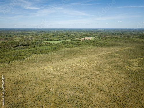 endless green forest from drone aerial image in summer