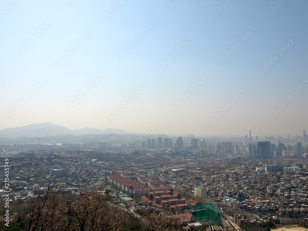 Obraz premium OLYMPUS DIGITAL CAMERA