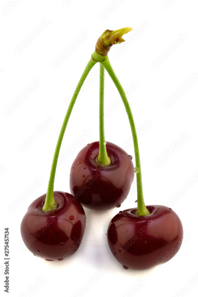 three ripe red cherry berries isolated on white background three ripe red cherry berries isolated on white background