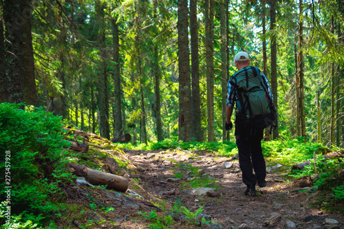 male traveler goes to the mountain through the forest