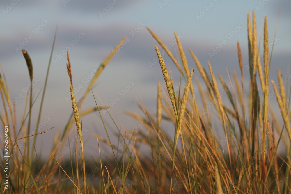 landschaft