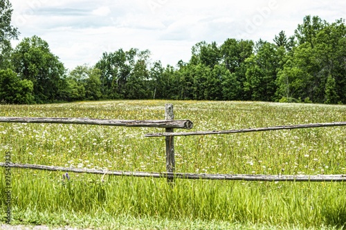 Beyond the fence